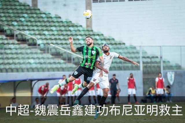 中超-魏震岳鑫建功布尼亚明救主 玉昆4分钟连扳两球2-2海港